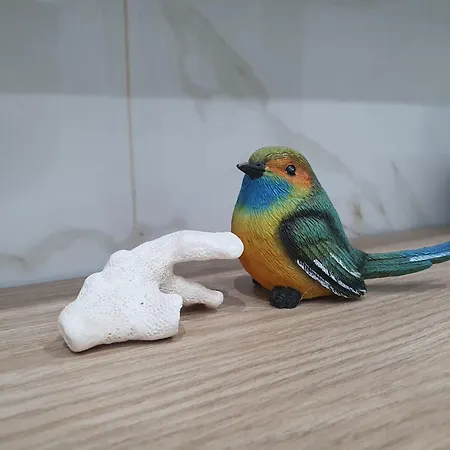 Comfort Del Mar V * Kołobrzeg